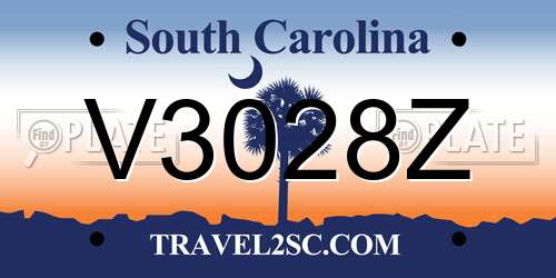 V3028Z South Carolina License Plate