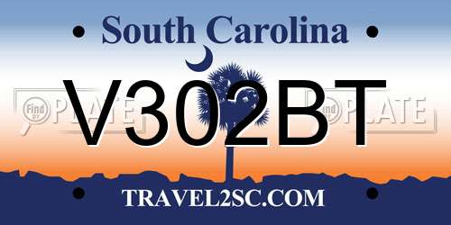 V302BT South Carolina License Plate