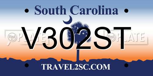 V302ST South Carolina License Plate