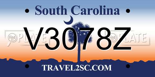 V3078Z South Carolina License Plate