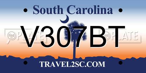 V307BT South Carolina License Plate