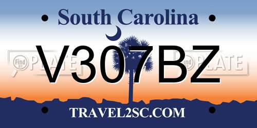 V307BZ South Carolina License Plate