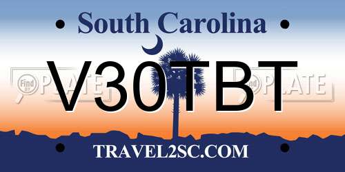V30TBT South Carolina License Plate