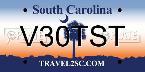 V30TST South Carolina License Plate