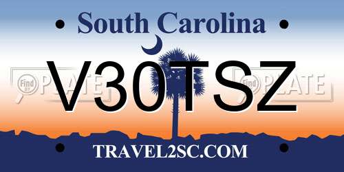 V30TSZ South Carolina License Plate