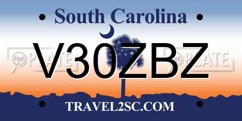 V30ZBZ South Carolina License Plate