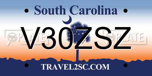 V30ZSZ South Carolina License Plate