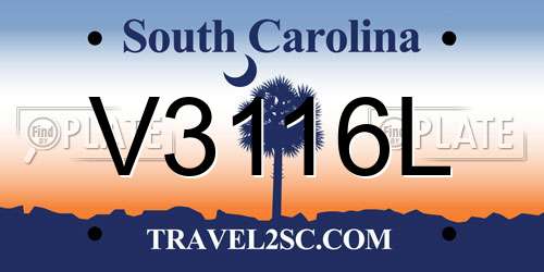 V3116L South Carolina License Plate