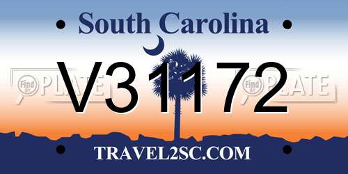 V31172 South Carolina License Plate