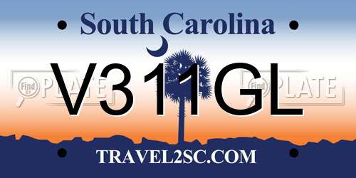 V311GL South Carolina License Plate