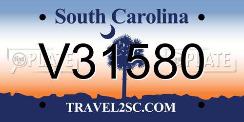 V31580 South Carolina License Plate