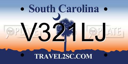 V321LJ South Carolina License Plate