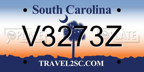 V3273Z South Carolina License Plate