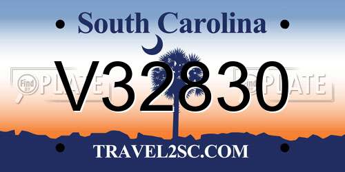 V32830 South Carolina License Plate