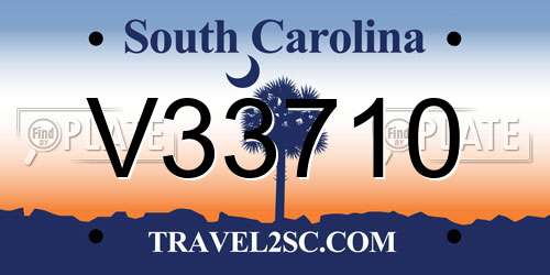 V33710 South Carolina License Plate