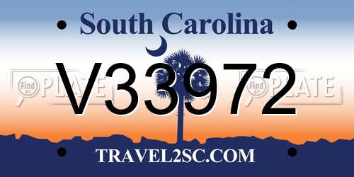 V33972 South Carolina License Plate