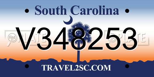 V348253 South Carolina License Plate