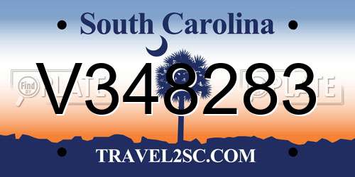 V348283 South Carolina License Plate