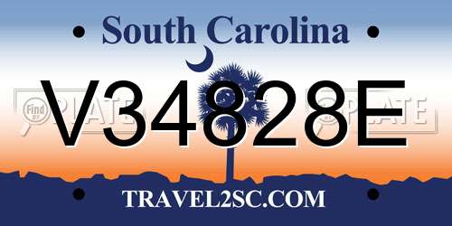 V34828E South Carolina License Plate