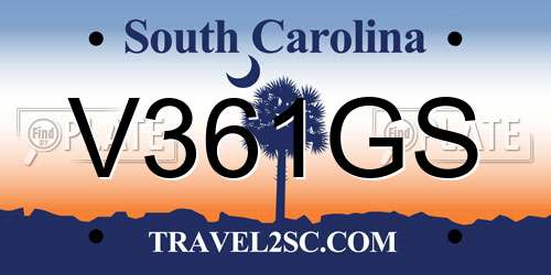 V361GS South Carolina License Plate