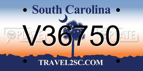 V36750 South Carolina License Plate