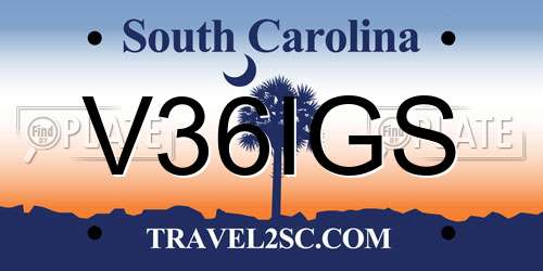 V36IGS South Carolina License Plate