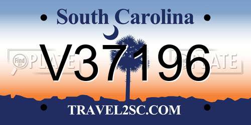 V37196 South Carolina License Plate