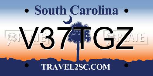 V37TGZ South Carolina License Plate