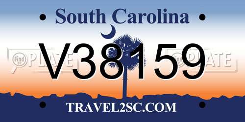 V38159 South Carolina License Plate