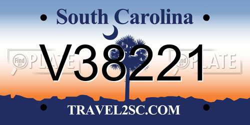 V38221 South Carolina License Plate