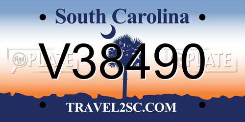 V38490 South Carolina License Plate