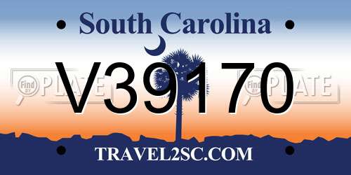 V39170 South Carolina License Plate
