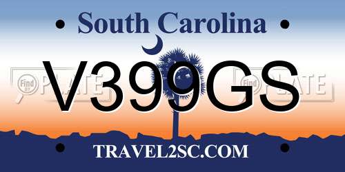 V399GS South Carolina License Plate