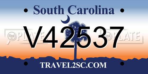V42537 South Carolina License Plate