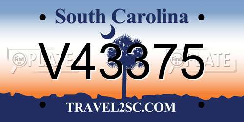 V43375 South Carolina License Plate