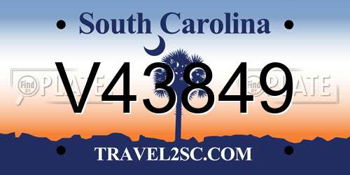 V43849 South Carolina License Plate