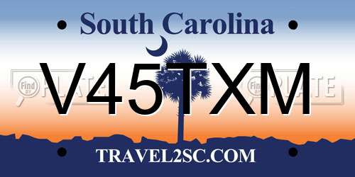 V45TXM South Carolina License Plate