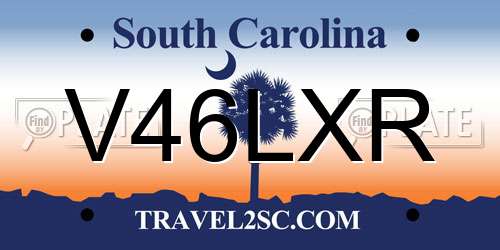 V46LXR South Carolina License Plate