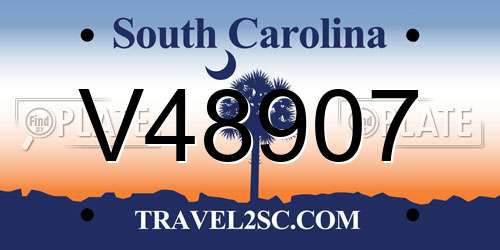V48907 South Carolina License Plate