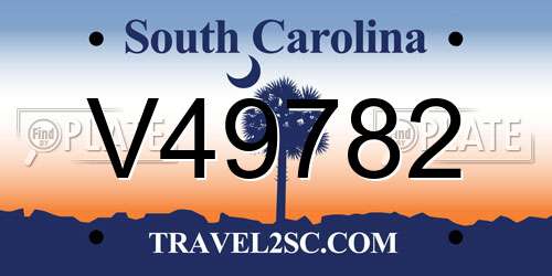 V49782 South Carolina License Plate