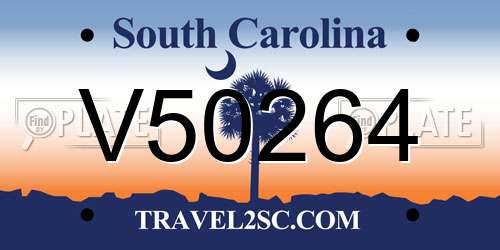 V50264 South Carolina License Plate