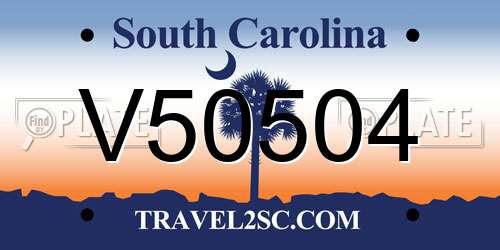 V50504 South Carolina License Plate
