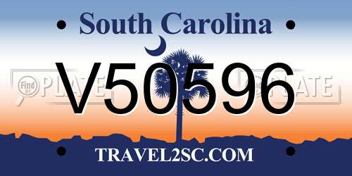 V50596 South Carolina License Plate