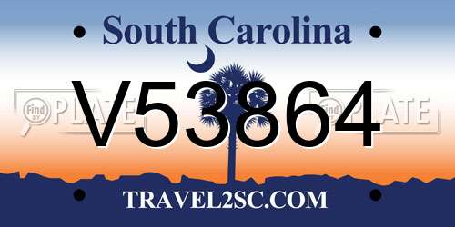 V53864 South Carolina License Plate