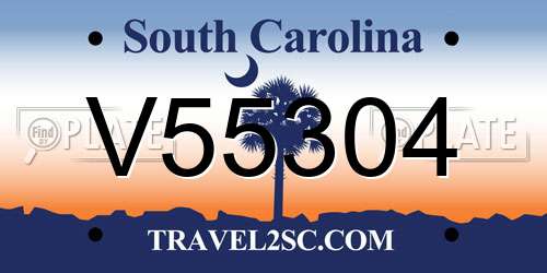 V55304 South Carolina License Plate