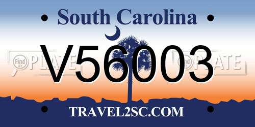 V56003 South Carolina License Plate