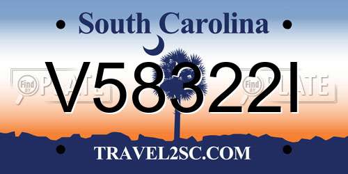 V58322I South Carolina License Plate