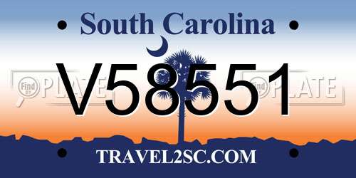 V58551 South Carolina License Plate