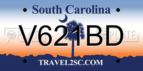 V621BD South Carolina License Plate