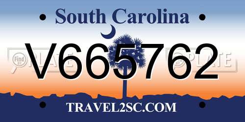 V665762 South Carolina License Plate